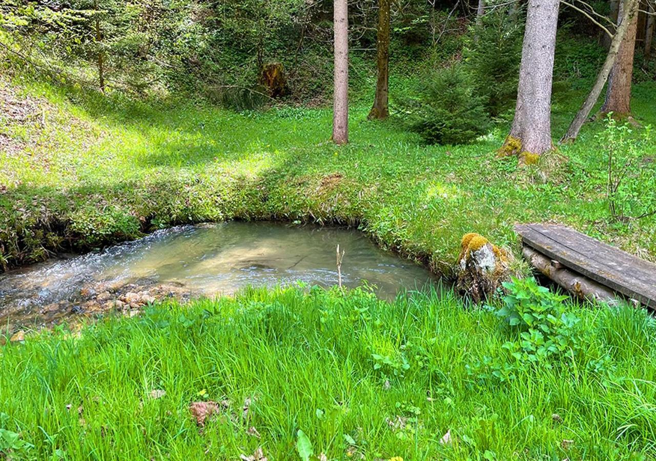 Apartments Fiore Am Naturschwimmbad! Puch  エクステリア 写真